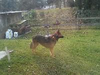 2011_11_30 bella  01